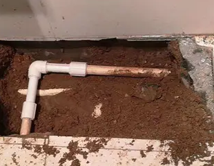 永春测漏水哪家好