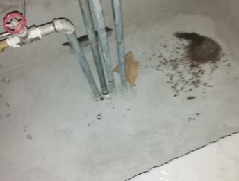 永春卫生间测漏水价格明细